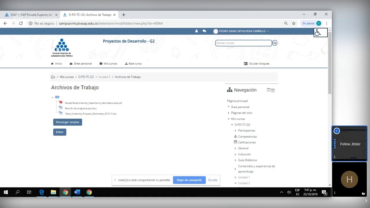 Proyectos de Desarrollo