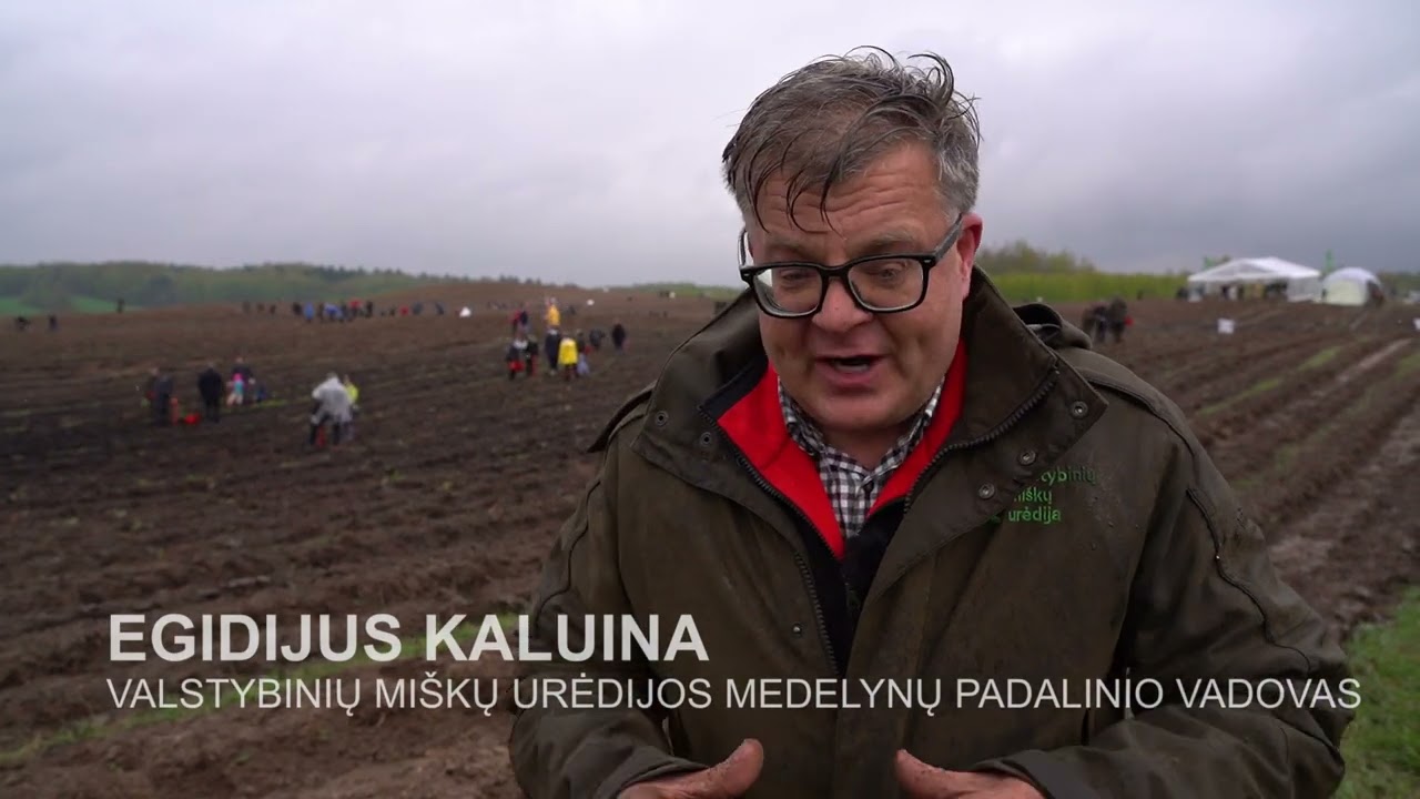Nacionalinis miškasodis „Kad giria žaliuotų“ 2024