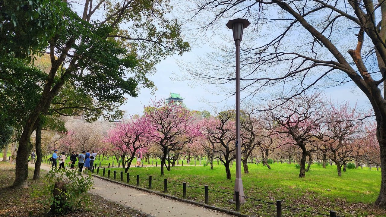 Osaka Castle in Spring