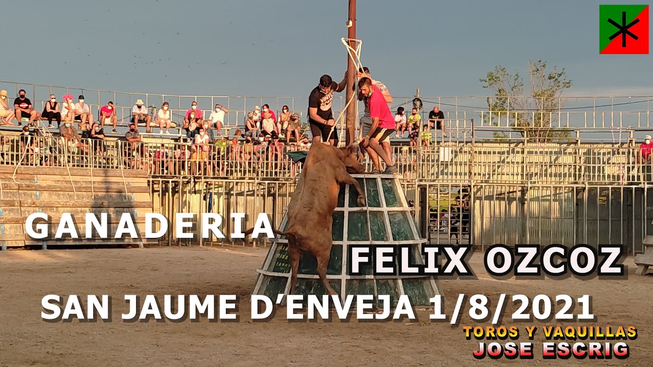 SAN JAUME D'ENVEJA 1/8/2021GANADERIA FELIX OZCOZ