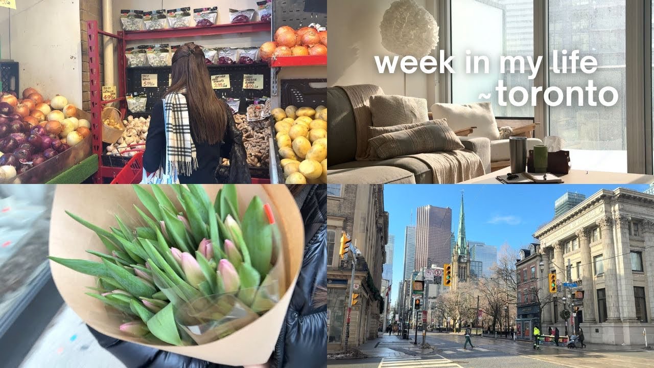 week in my life · toronto ☆彡 eat · drink · shop · study