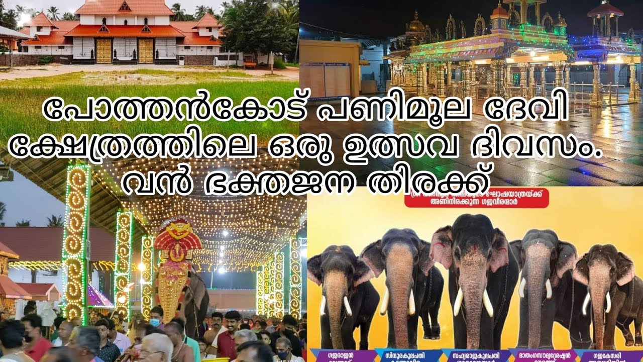 ഉത്സവ ലഹരിയിൽ പോത്തൻകോട് പണിമൂല ദേവി ക്ഷേത്രം.വൻ ഭക്തജന തിരക്ക്.