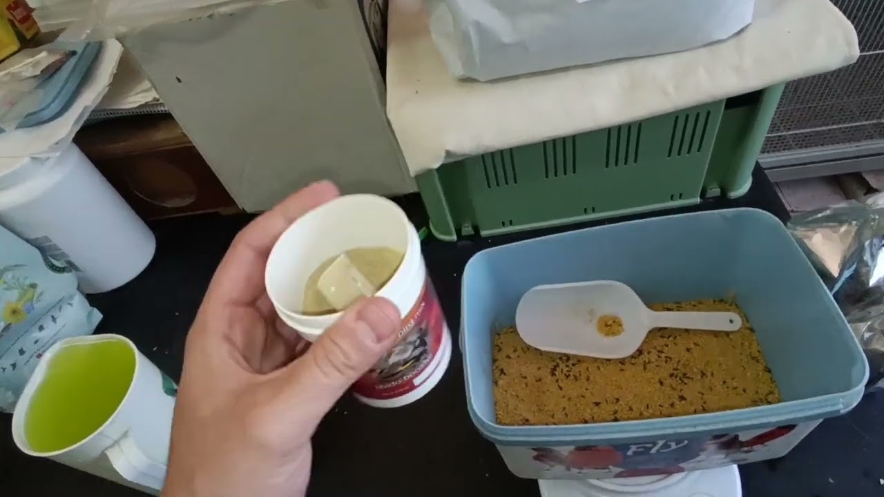 como encelo a los pajaros para la cria 🔥