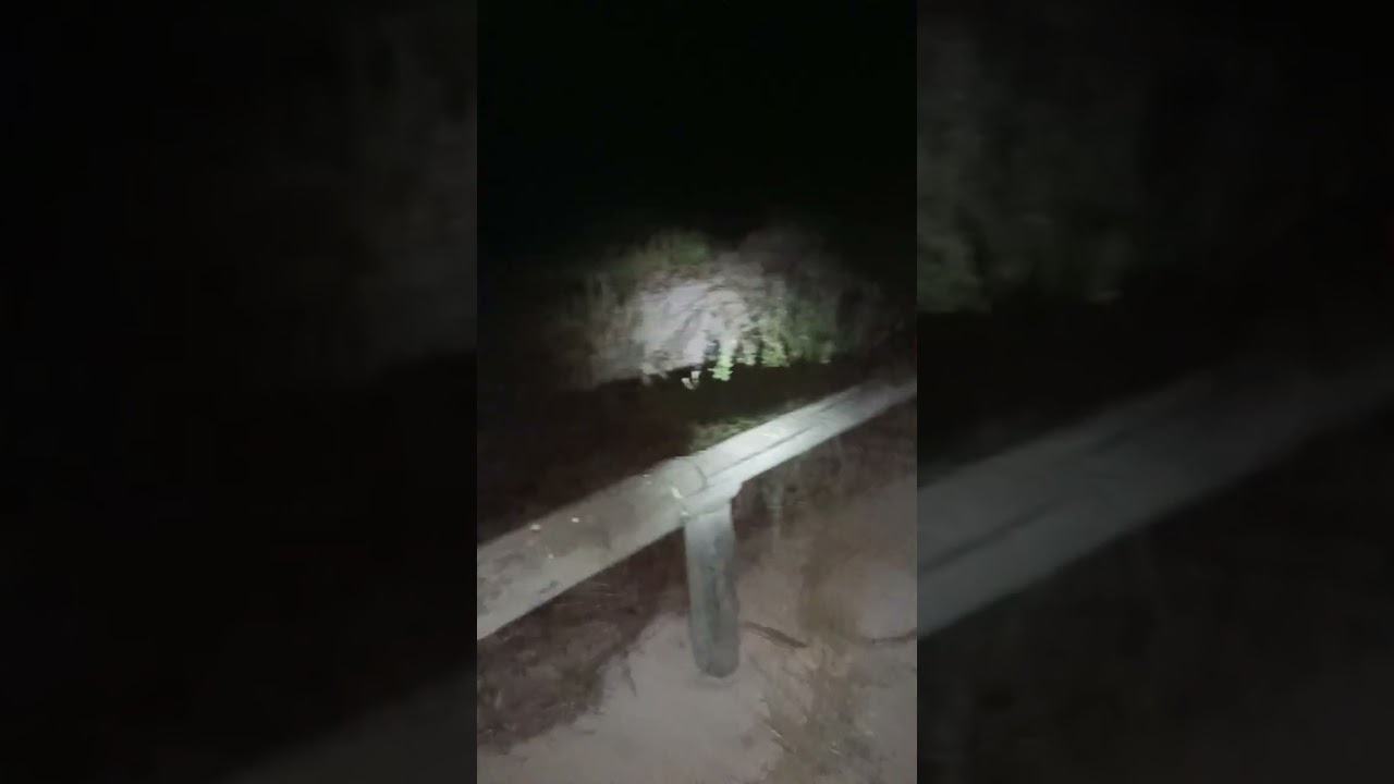 Suspenseful urban exploration turns into a celebration!