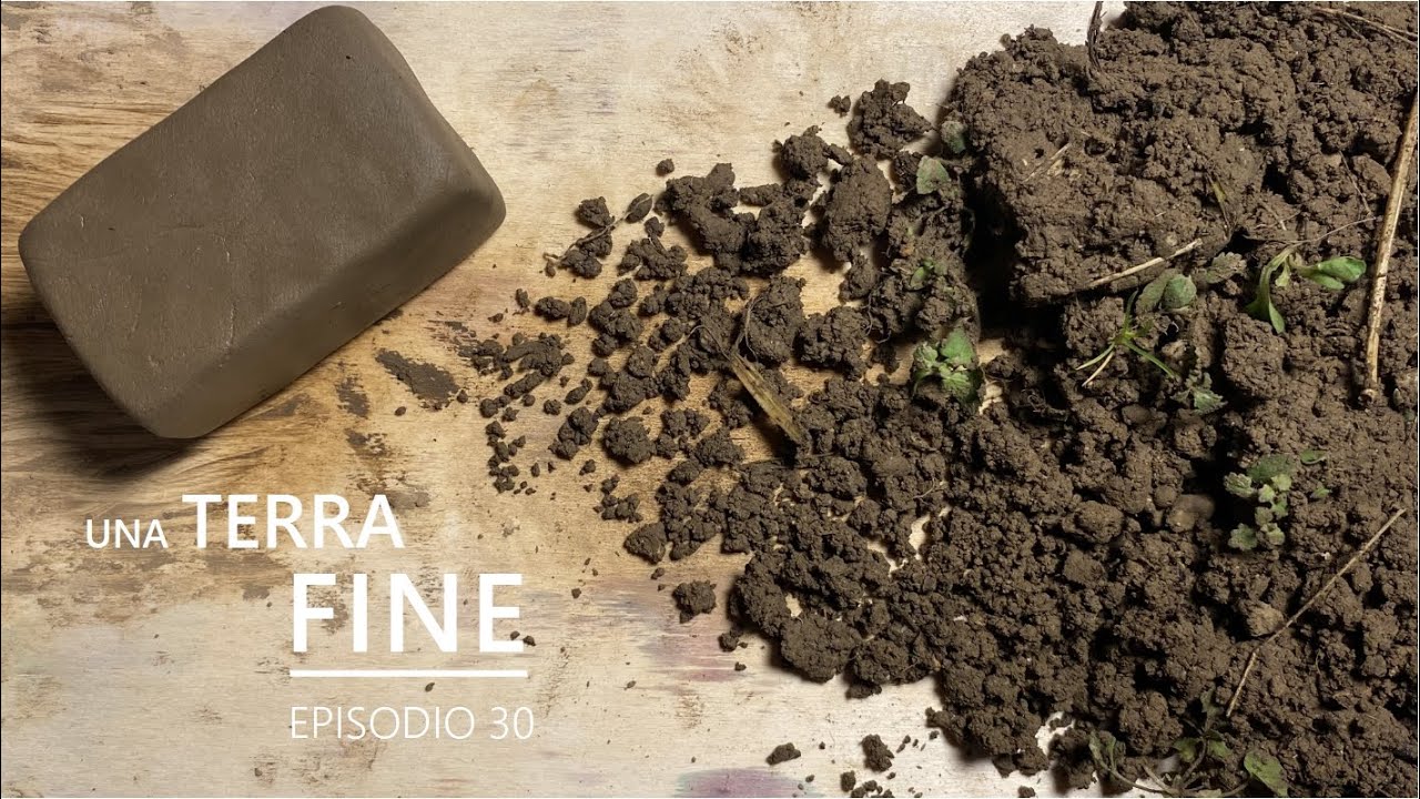 Argilla da terra comune. Dal seme alla pianta (30). Una terra fine [SPECIALE].
