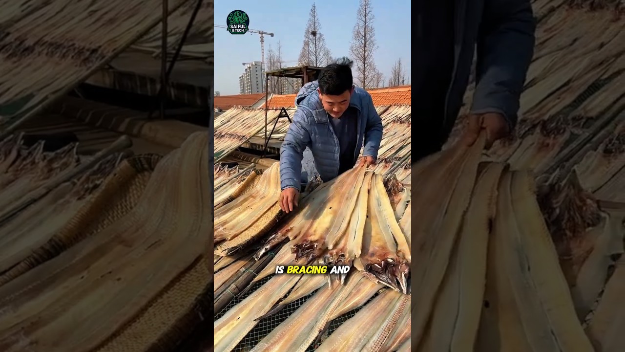 This Is How Dried Fish Is Prepared Along China’s Coast 