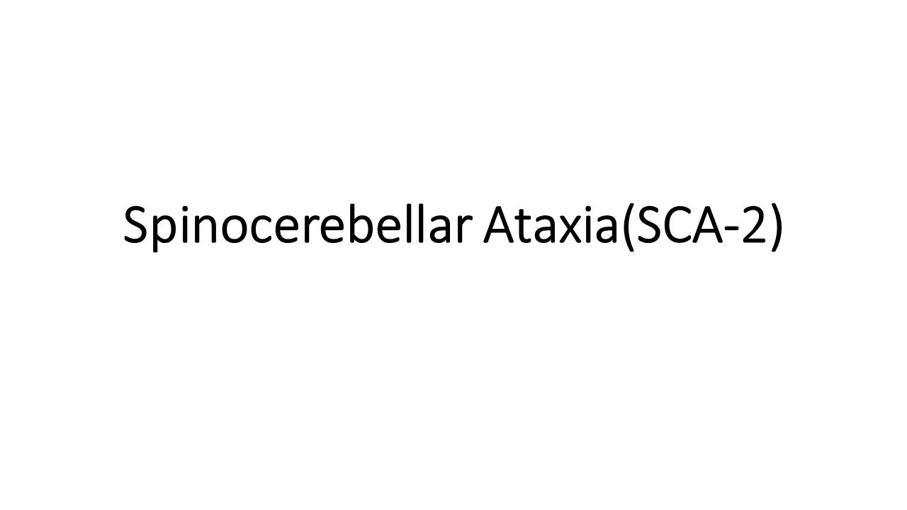 Spinocerebeller Ataxia SCA  2