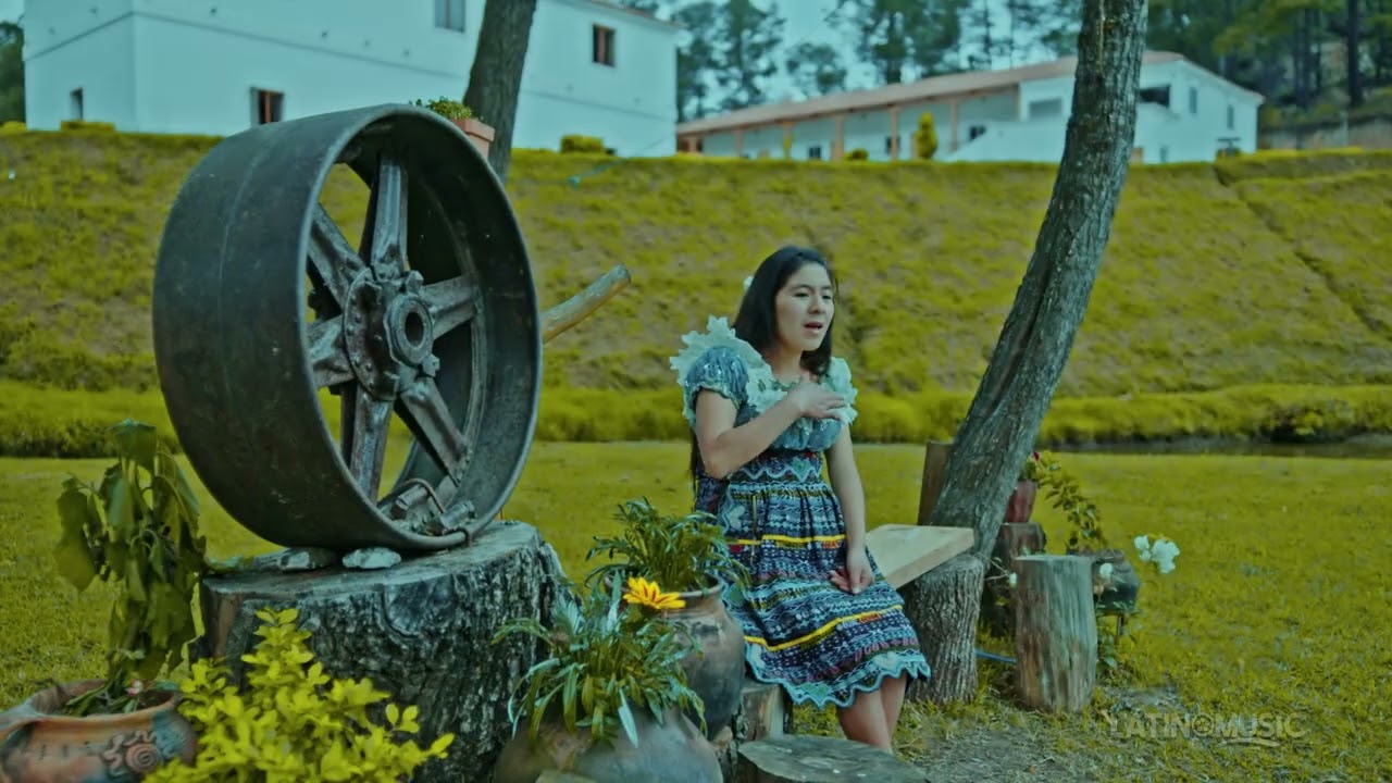 CONFESION HUMILDE │ BRENDA MARCELINA TIQUIRAM