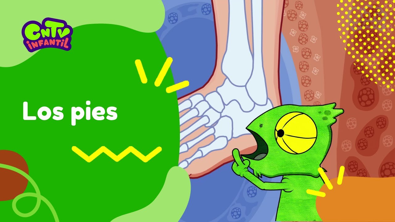 Los pies | Camaleón y las naturales ciencias 3° temporada