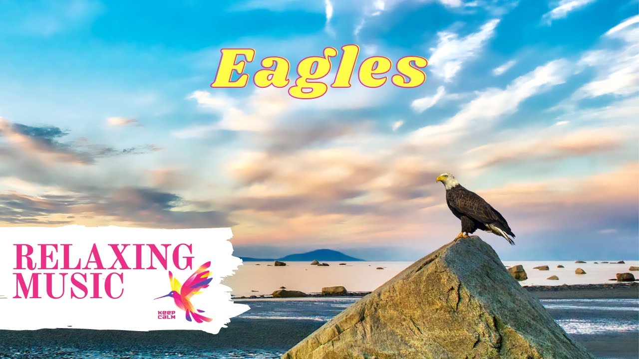 Relaxing Music (Eagles) for Bed Time, Study, Spa or Yoga - 3 HOURS