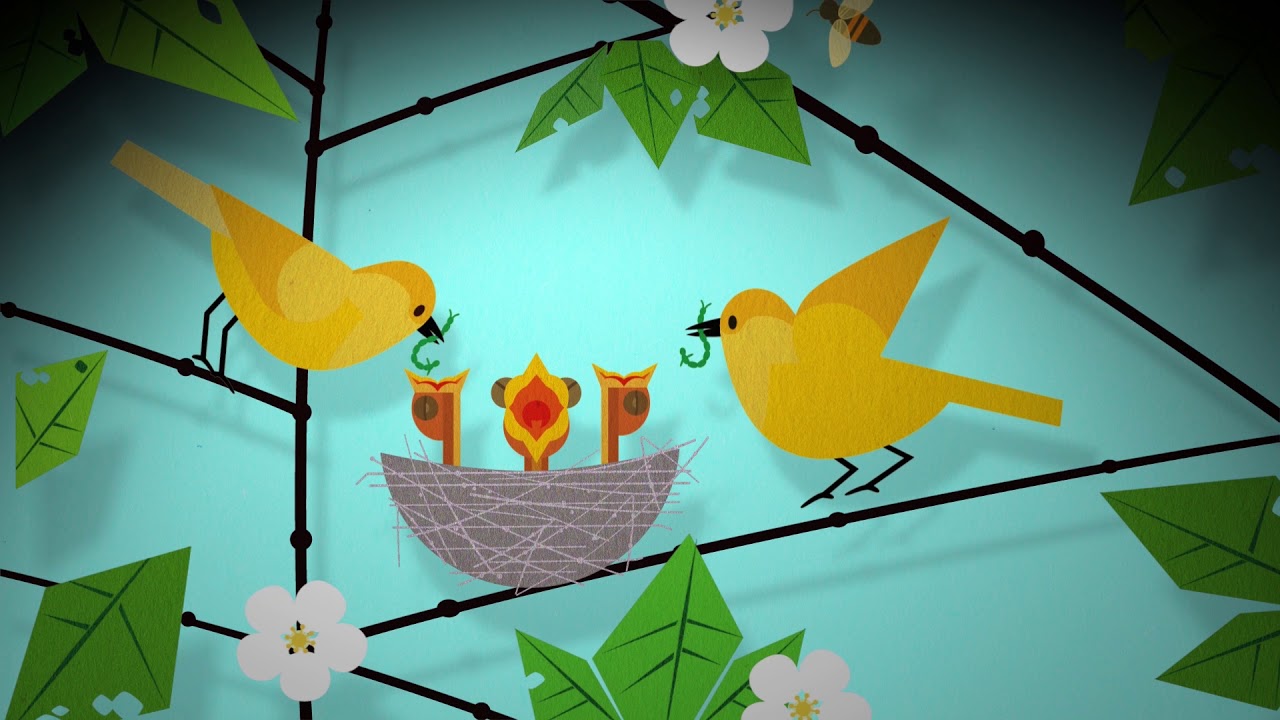 Sustainable environment and protection for wildlife │ #EUandMyFood