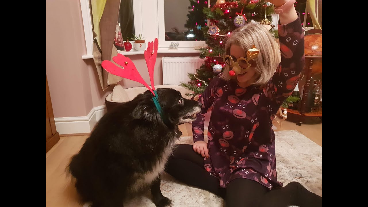 ŚWIĘTA ADOPCIAKÓW z kaliskiego schroniska #NaszeSZCZESLIWEadopcje