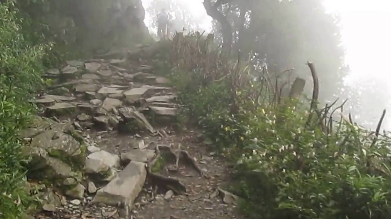 On The Way of Trekking To TRIUND From Dharamasala 3...