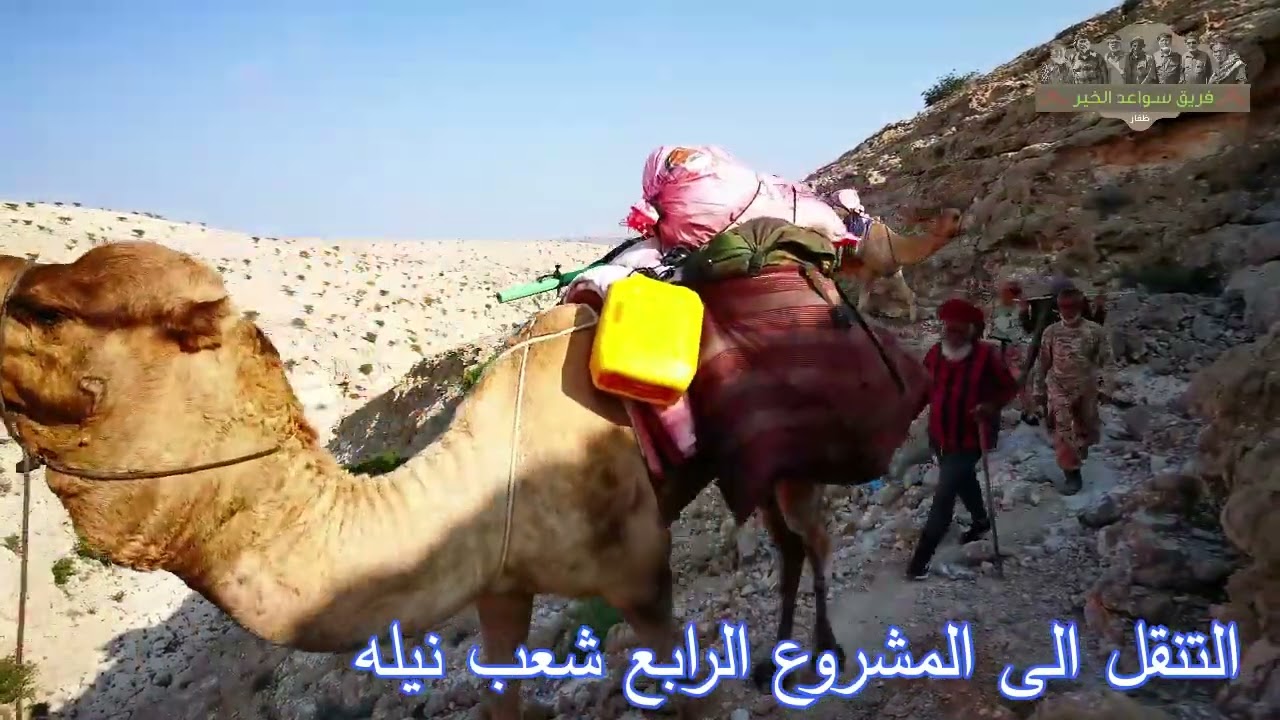 حاسك 2
