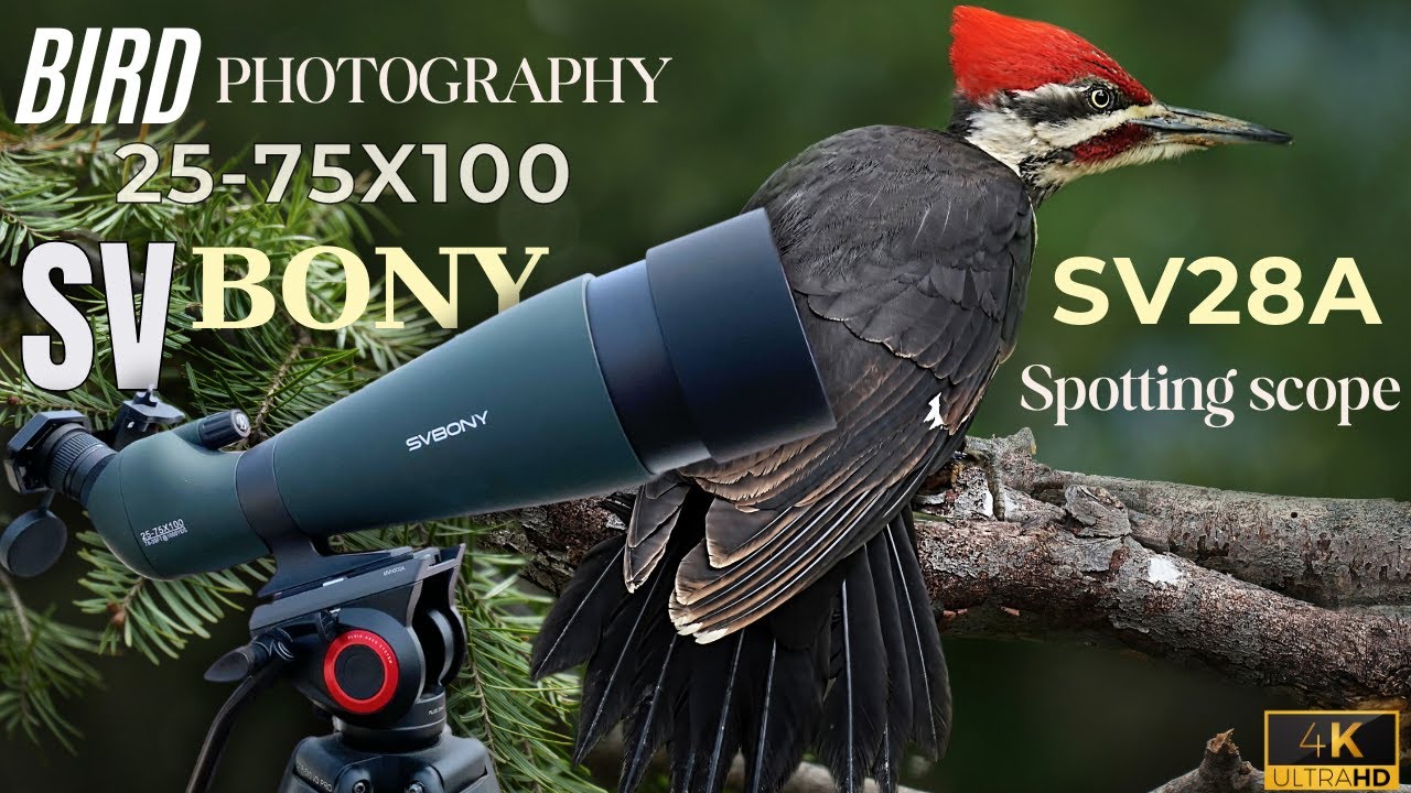 BIRD PHOTOGRAPHY - SVbony SV28A 25-75X 100mm GAINT SUPERZOOM Spotting Scope