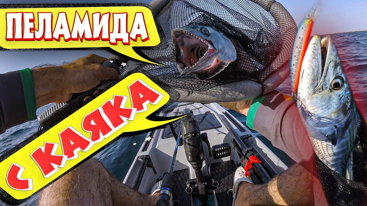 Пеламида с Каяка