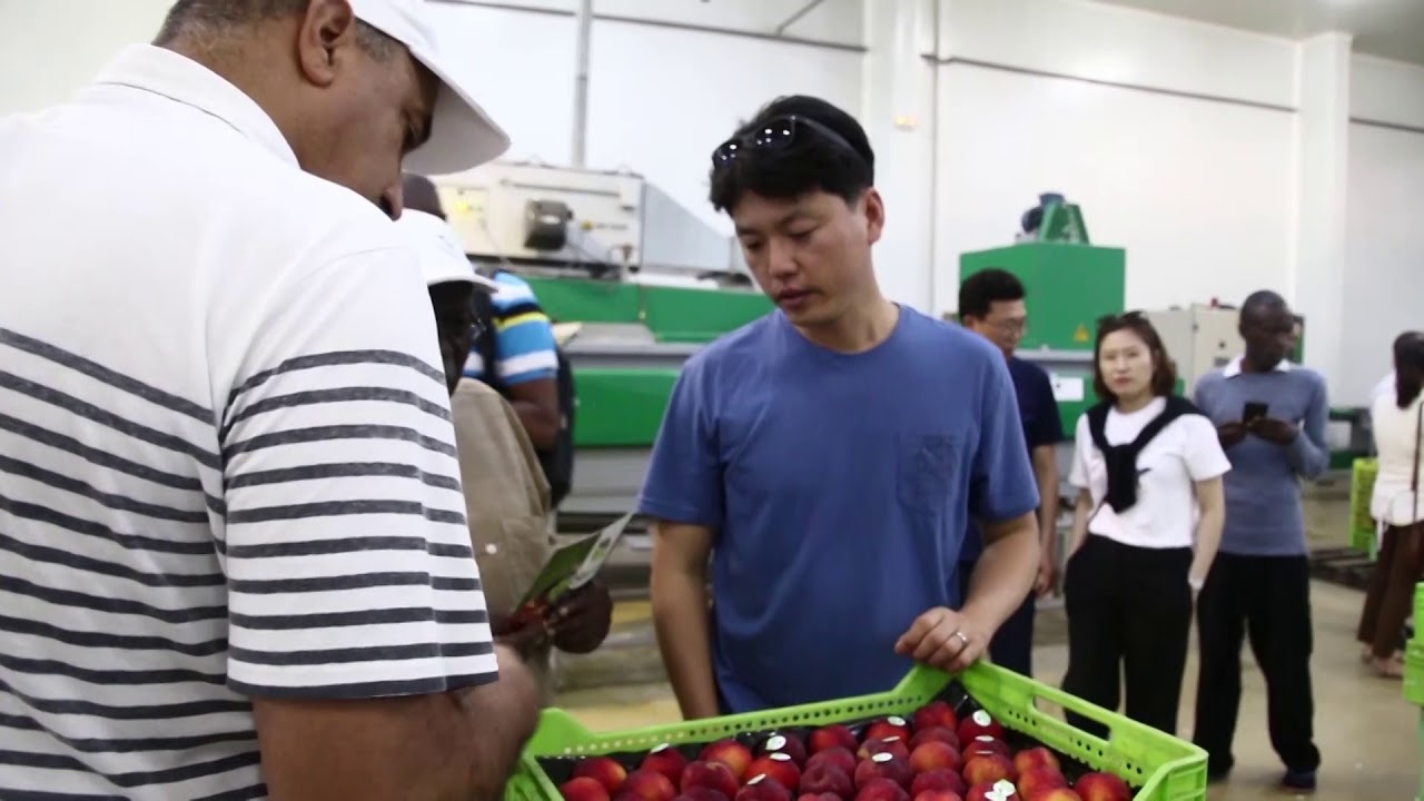KAFACI visit to field and packing house of Sadira