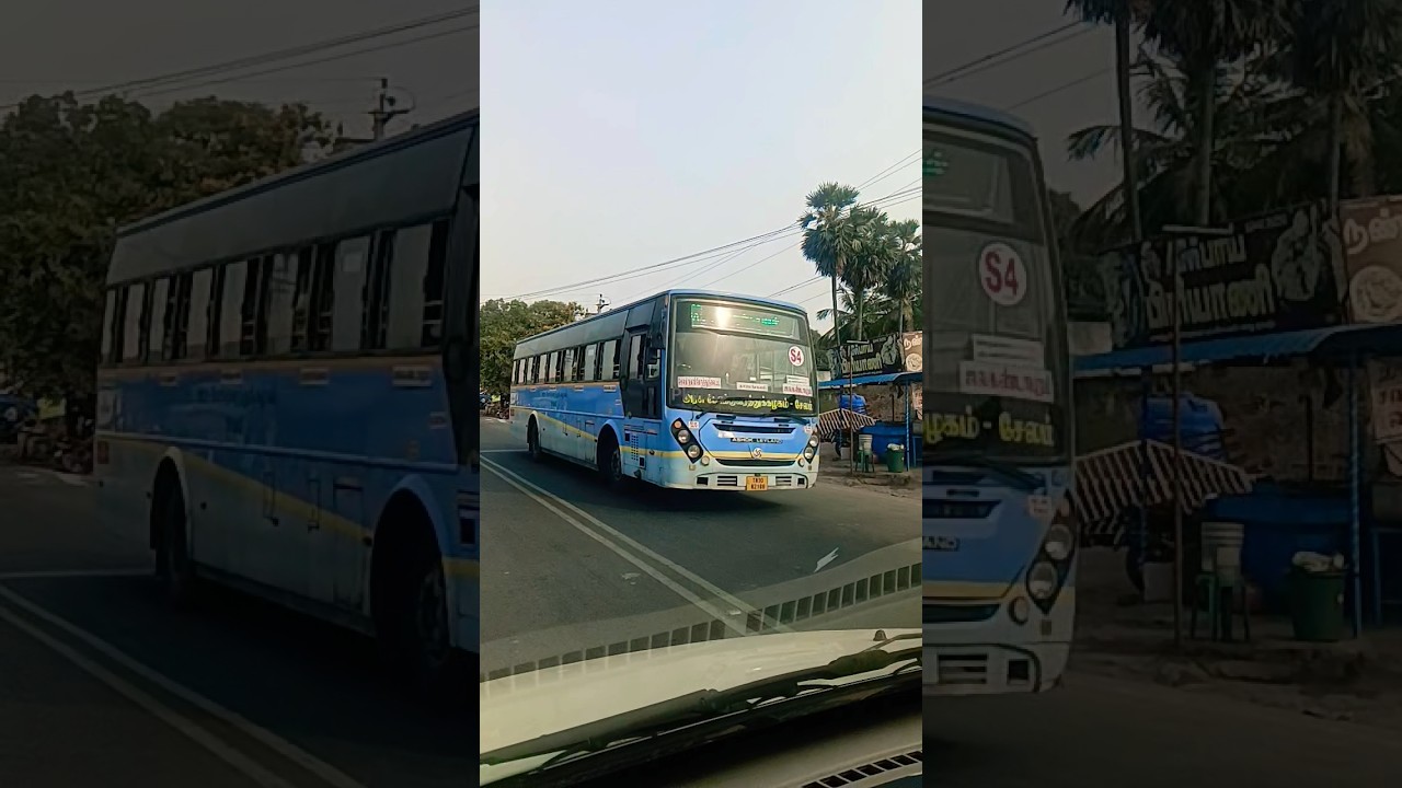 TNSTC government city ladies free bus #pkvbus #automobile #pkdrivers #youtubeshortvideo #travel