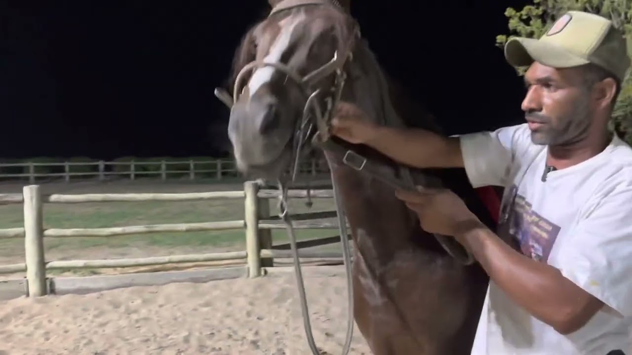 QUER MELHORAR OS POSTERIORES DO SEU CAVALO? ENTÃO ASSITA O VÍDEO ATÉ O FINAL.