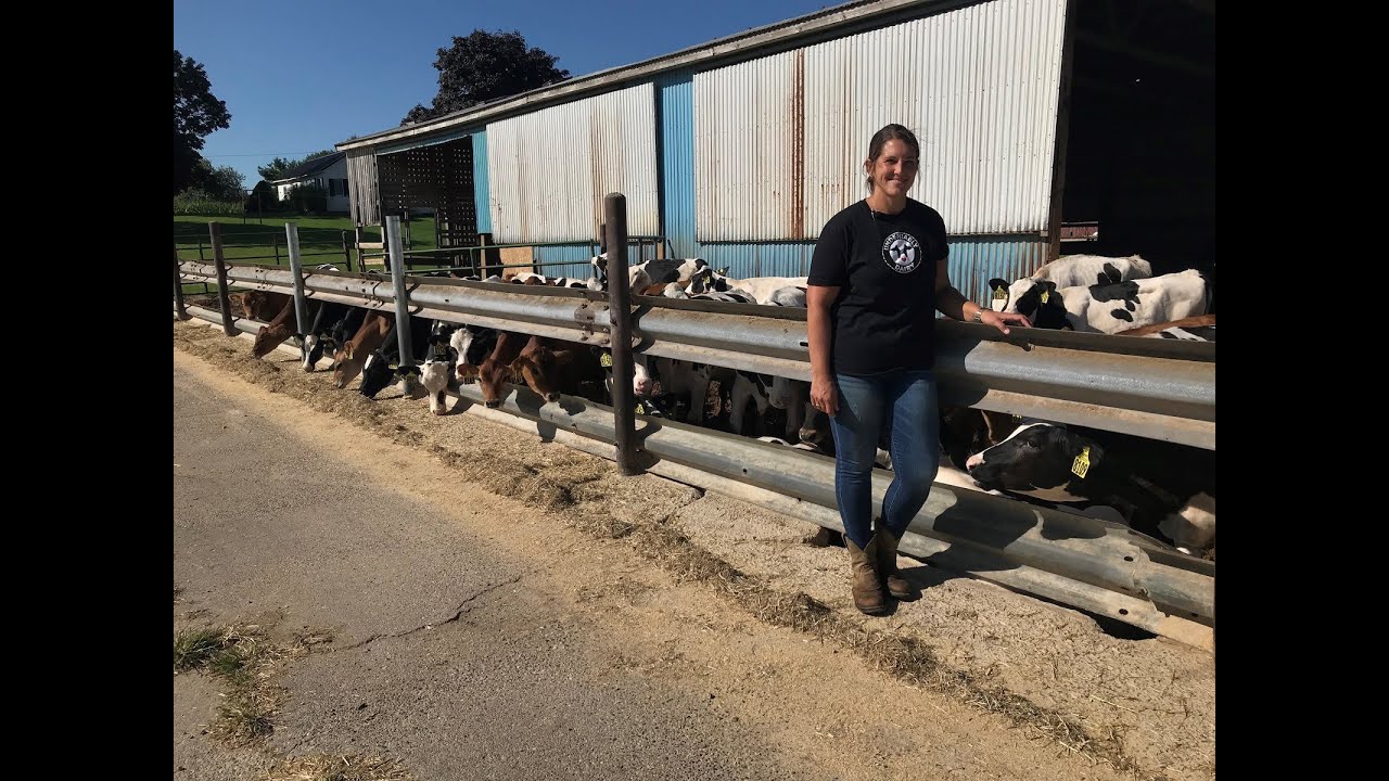 Virtual Farm Tour to Michigan Dairy (Pre-K-2nd grade) - 9/25/19