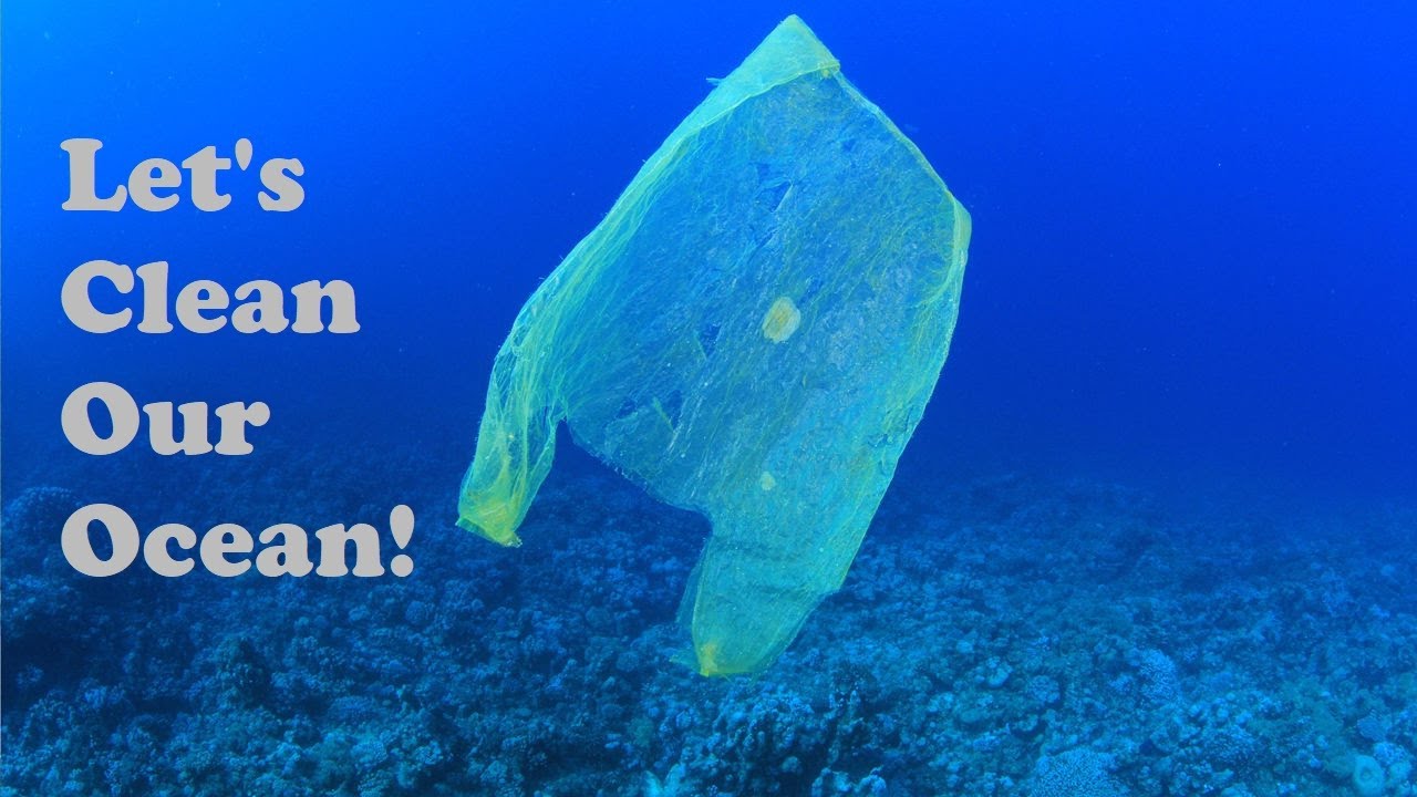 How YOU Can Help CLEAN The OCEAN!: 4 Ocean - Conservation Spotlight