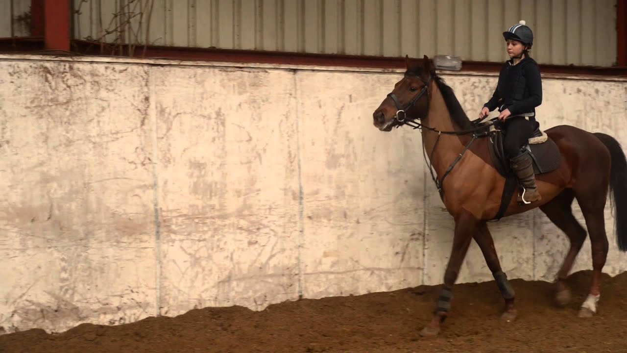 GCSE Horse Riding Video - Level 10 (A*)