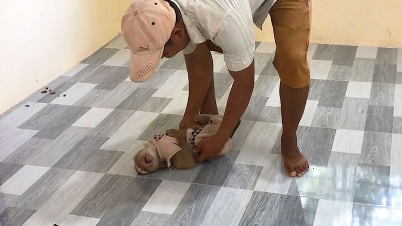 Handsome Jason Lying On Floor Ask Uncle Tickle Don't Go Home