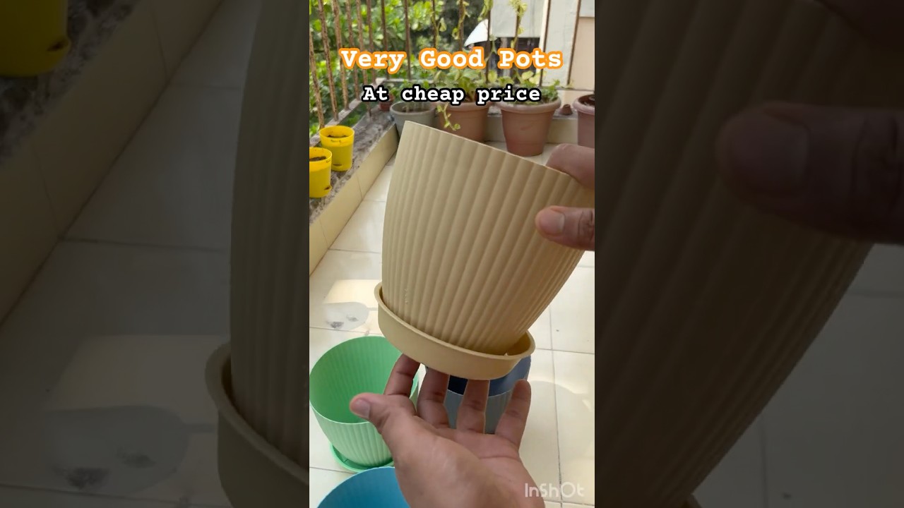 Best garden pots under ₹200|Unboxing garden planters from Amazon/Flipkart|Cheap garden pots in India