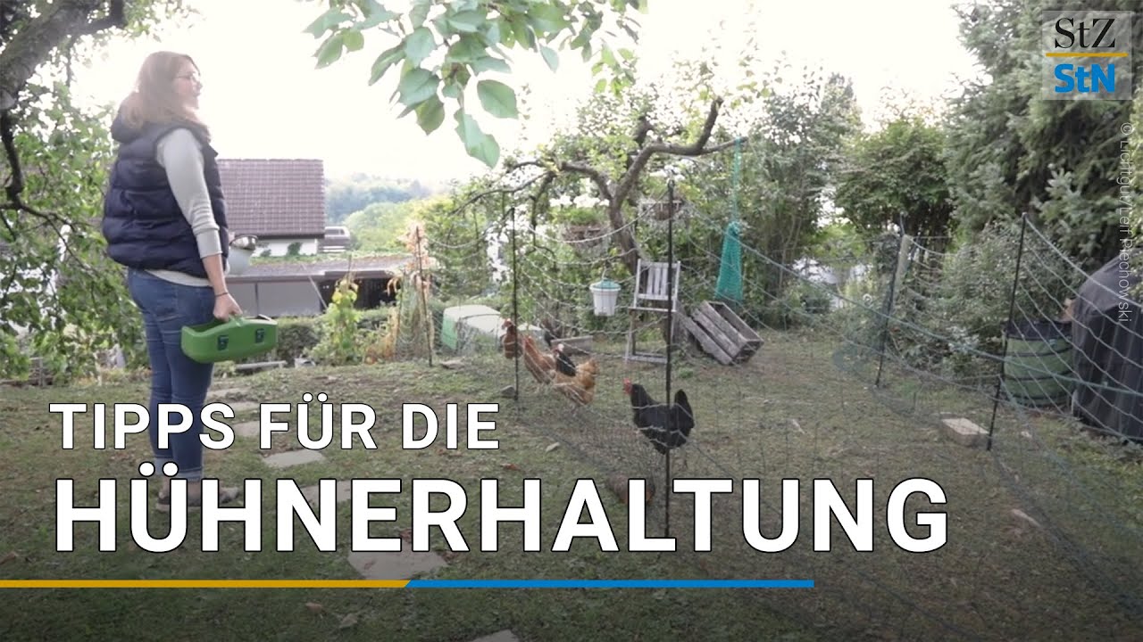 Die besten Tipps f&uuml;r die H&uuml;hnerhaltung im Garten und in der Stadt | Hobbyfarming