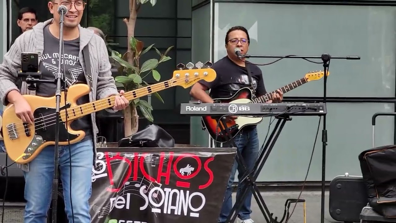 I WANT TO BREAK FREE - LOS BICHOS DEL SOTANO