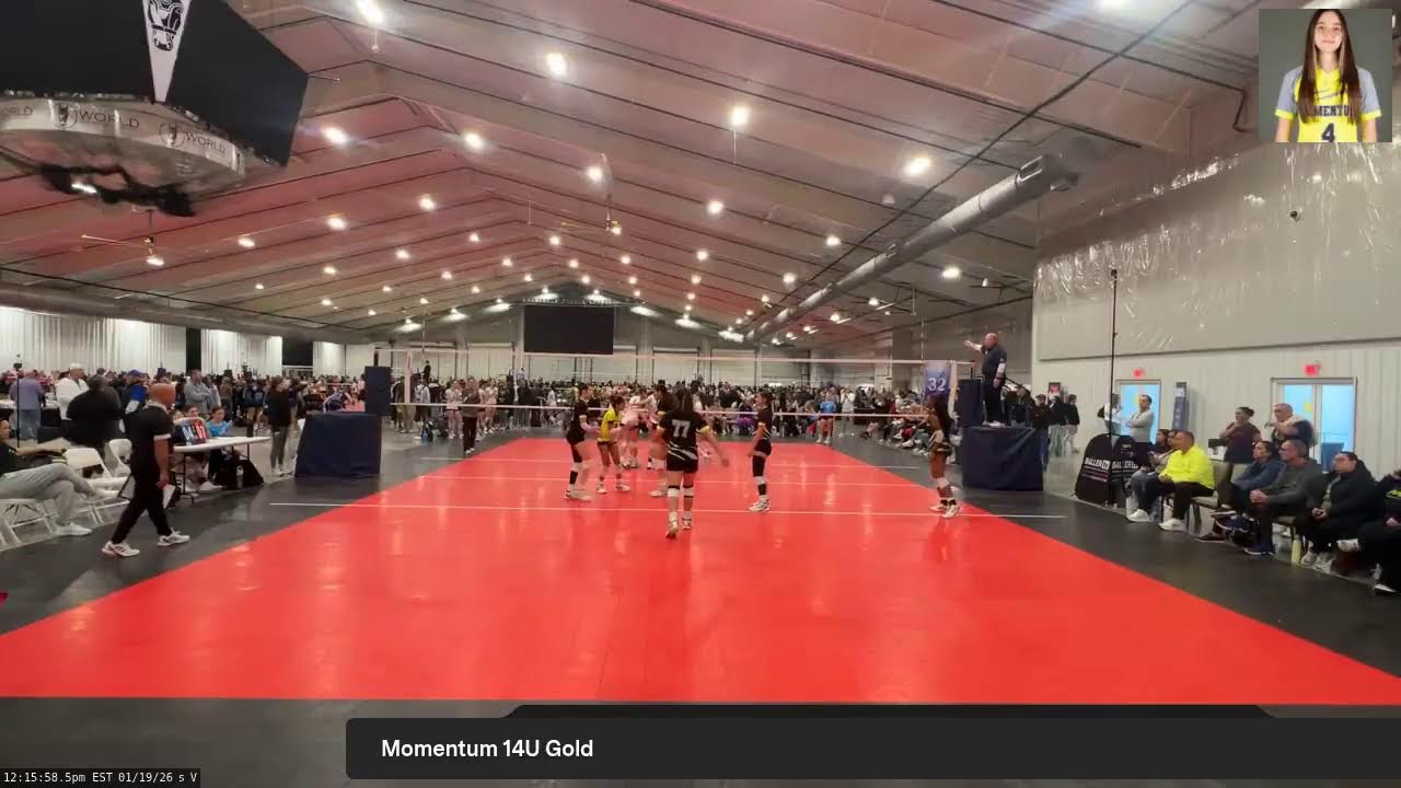Momentum 14U Neon (2026.01.19)