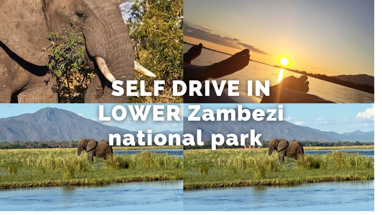 A Typical Day on A Self-Drive Safari in the lower Zambezi park.