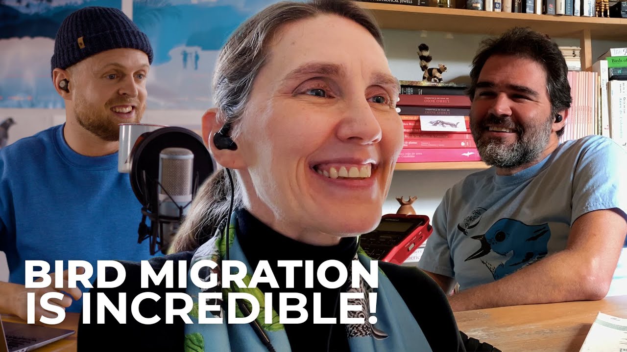 Explore the Miracle of Bird Migration with Audubon's Jill Deppe | Studio Sessions Episode 11