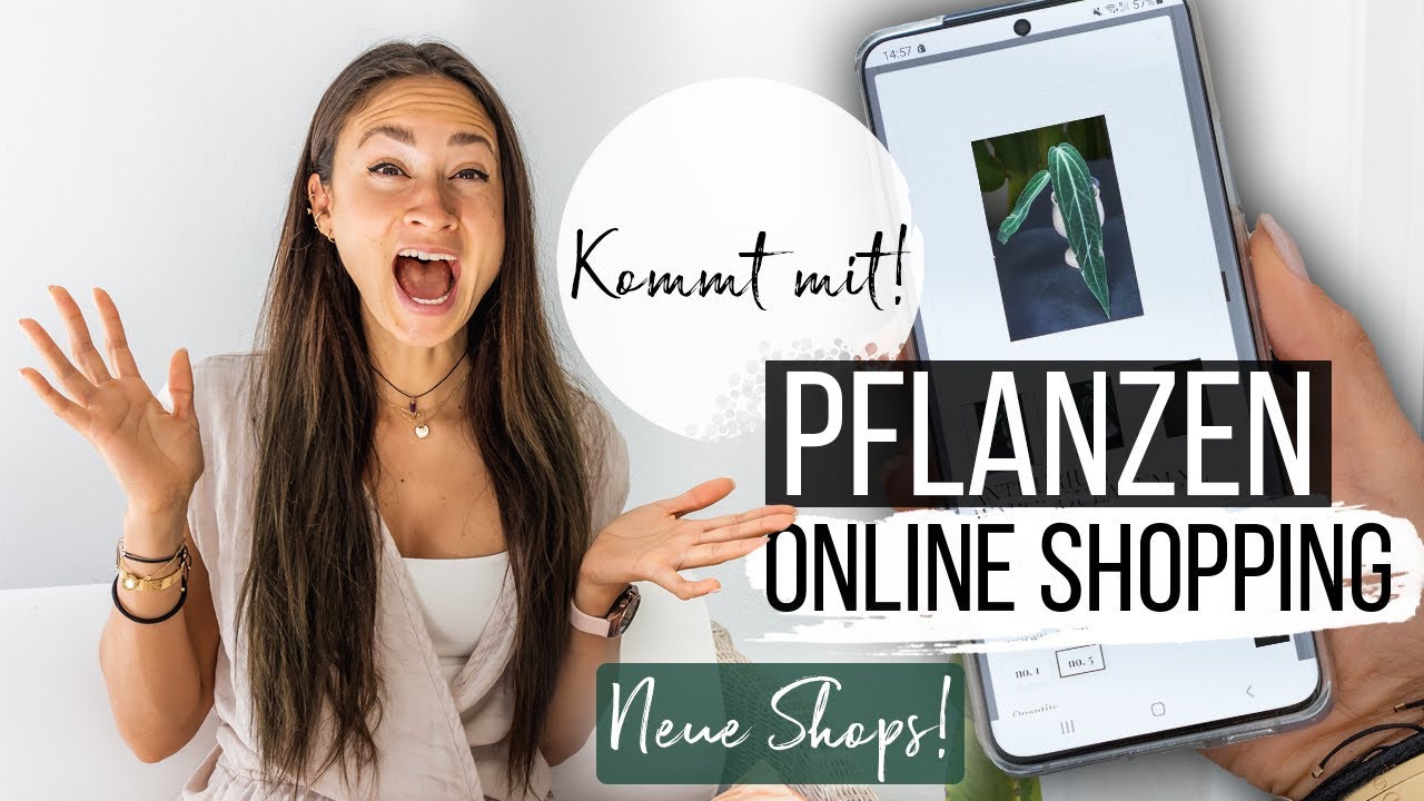 ONLINE PFLANZEN Shopping in neuen Stores 😱🌱| Aroids, Hoyas und Syngonien ❤️