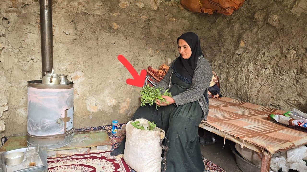 Kicked Out by Her Son, She Built a New Life Alone in the Snowy Mountains