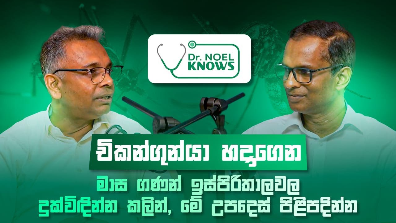 චිකන්ගුන්යා #chikungunya හදාගෙන මාස ගණන් ඉස්පිරිතාලවල දුක්විඳින්න කලින්, මේ උපදෙස් පිළිපදින්න