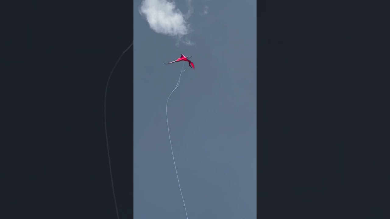 Layangan Bebean Putus dievent EDC Kite Festival#3... 