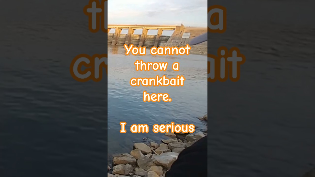Don&rsquo;t Throw Crankbaits Below Kentucky Dam &mdash; Here&rsquo;s Why