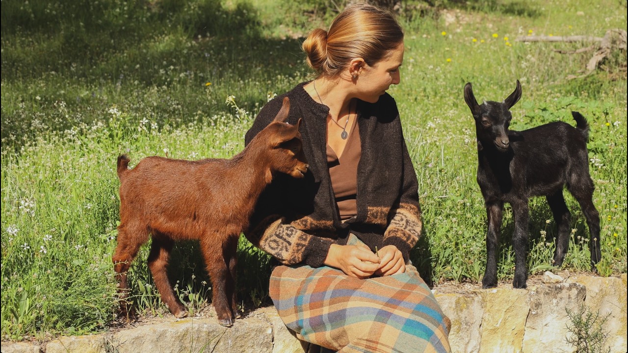 Así es vivir con 100+ animales - Una mañana en nuestra vida rural