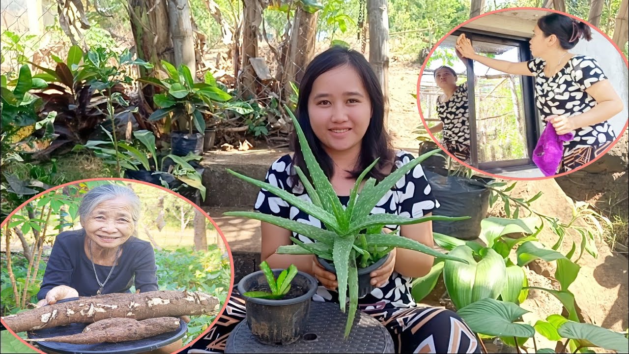 SIMPLE LIFE IN THE PROVINCE / GARDENING IS MY DAILY ROUTINE 🌿