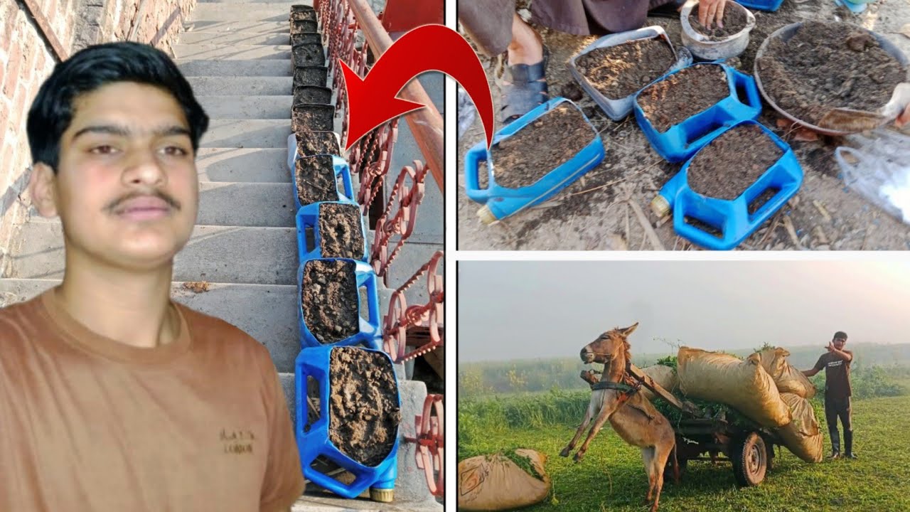 Aaj To Alag Kam Kar Diya 😀 