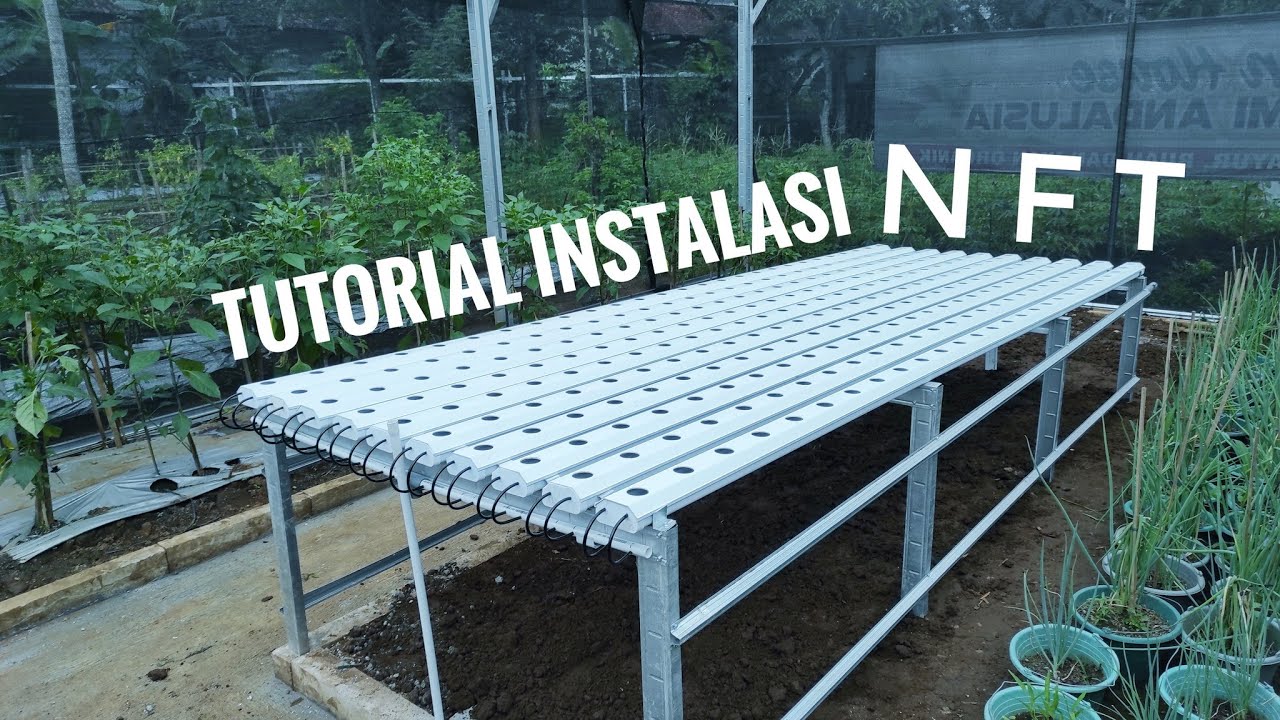MEMBUAT INSTALASI HIDROPONIK NFT GULLY TRAPESIUM - part 2