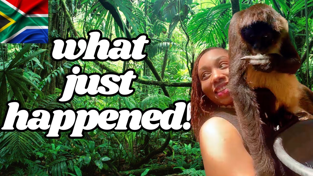 What Happened When a Spider Monkey Sat on Me! South Africa EP:7