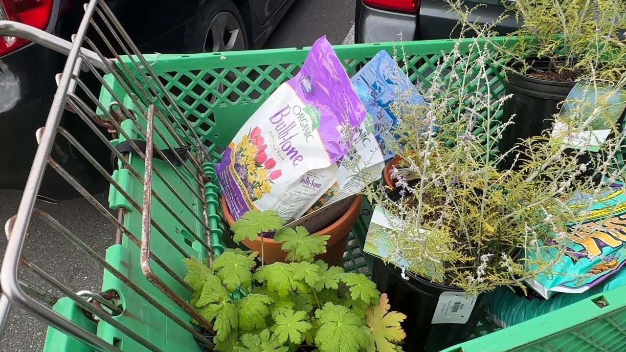 Perennial Plant Haul #gardentoursaturday 