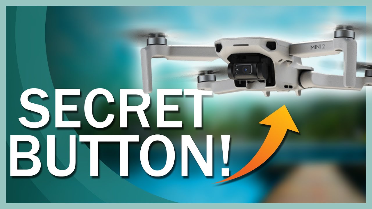Секретная кнопка DJI Mini 2: как использовать DJI Quick Transfer
