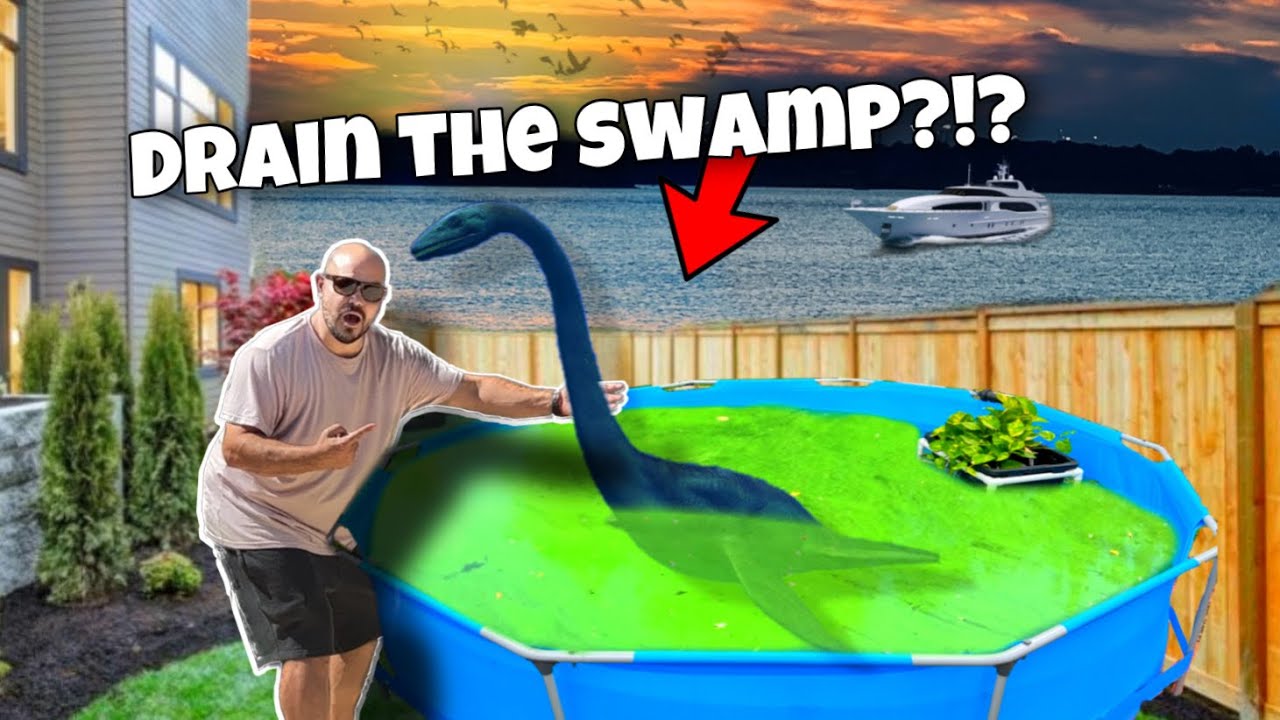 DIY Filter For Pool Pond (Stocking Colorful Fish)