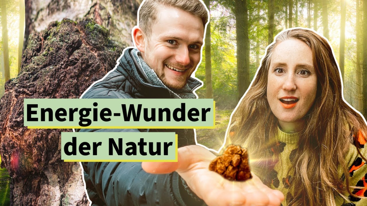 Chaga + Shiitake - Vitalpilze für deinen Darm (Immun-Booster)