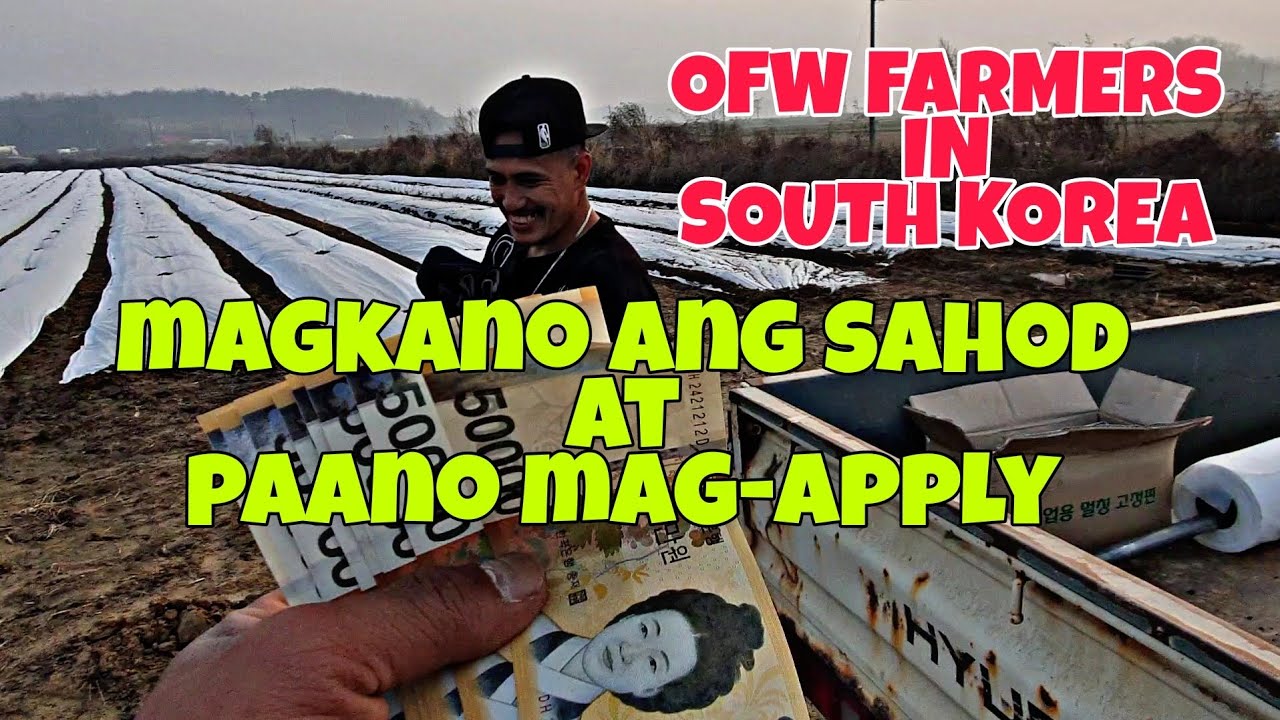 Farmers in South Korea | How to apply work in South Korea  #ofwinsouthkorea #korikongtv