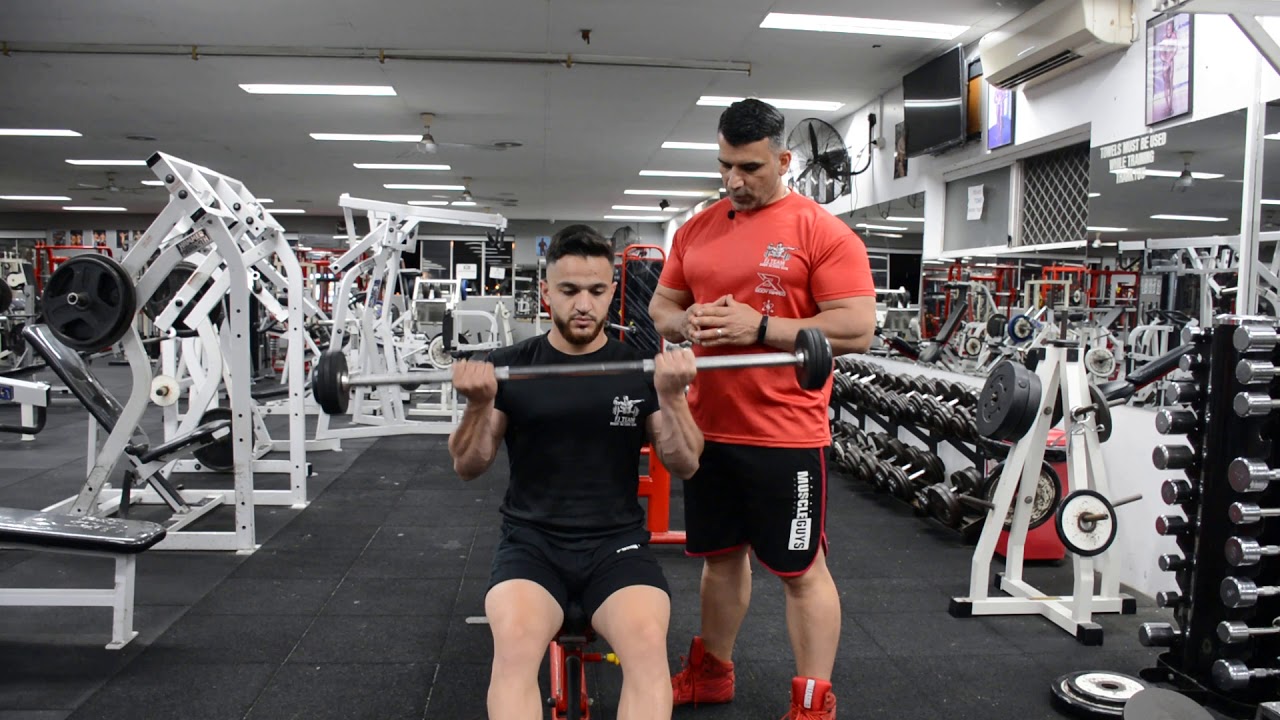 كيرل حديد جالس وسط  Sitting Barbell Curl