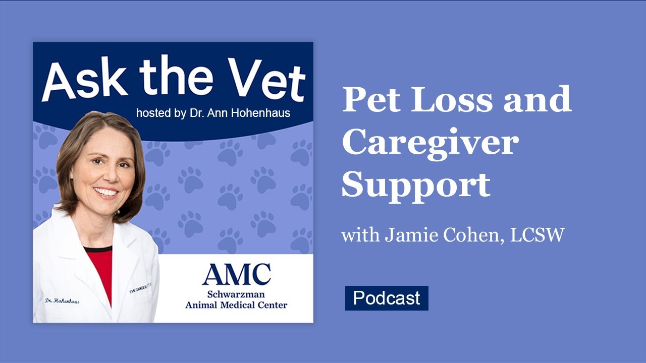 Ask the Vet: Pet Loss and Caregiver Support with Veterinary Social Worker Jamie Cohen